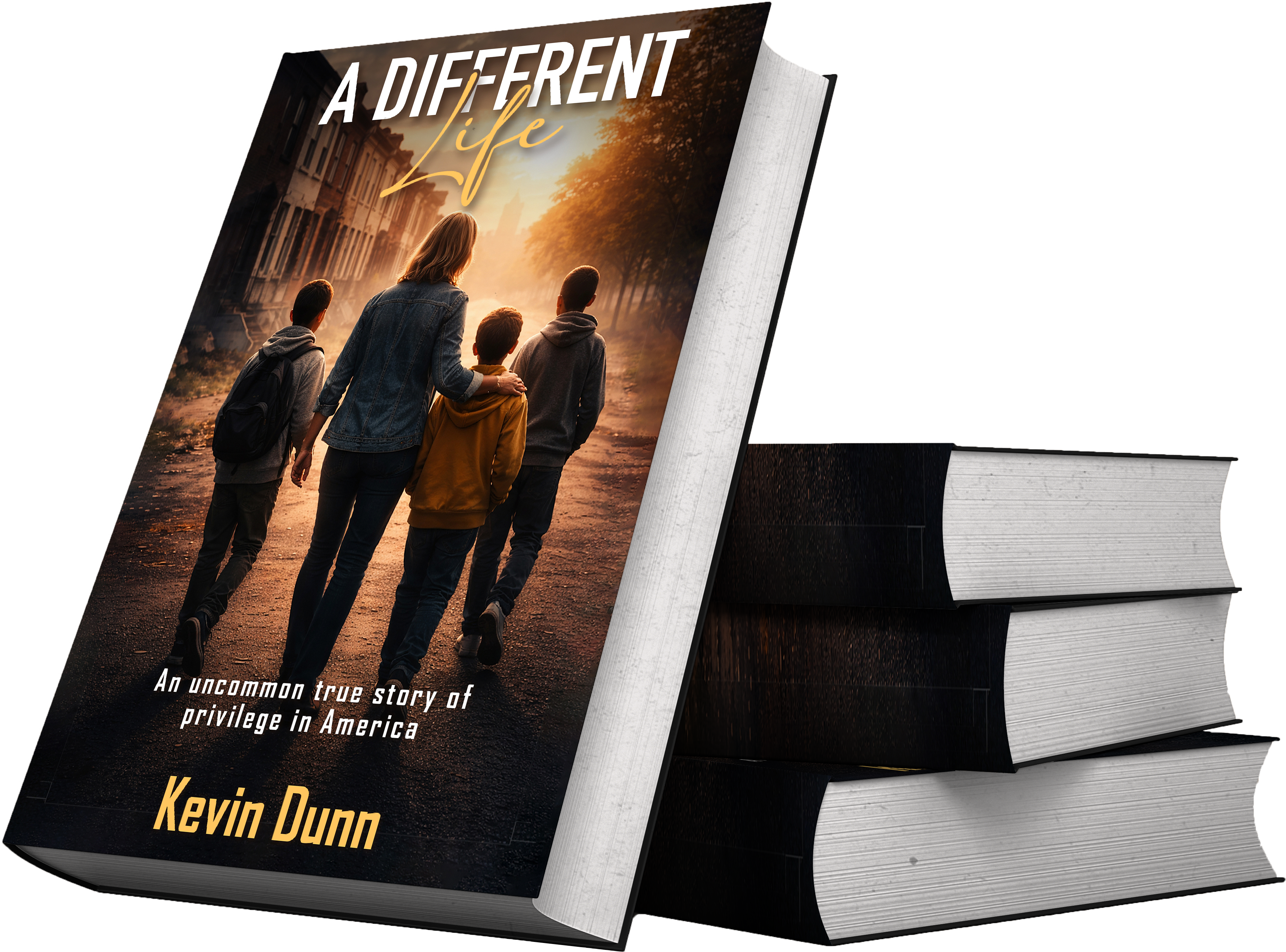 About Image - lorem – 